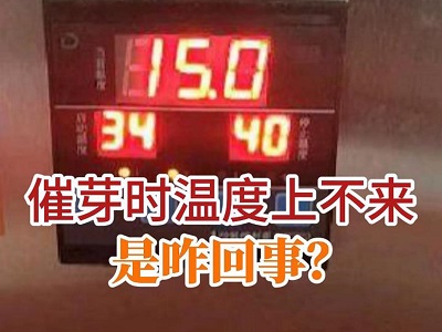 催芽时温度上不来是咋回事？ ()
