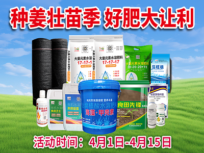 种姜壮苗季 好肥大让利 ()