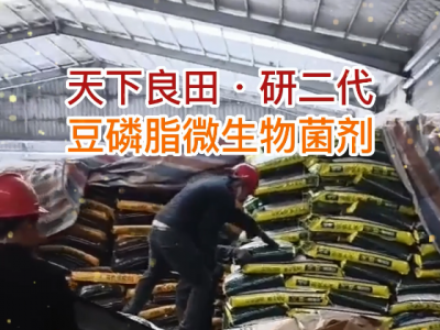 湖南姜友25吨豆磷脂微生物菌剂发货中... ()
