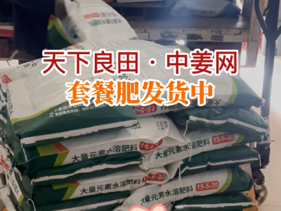 天下良田·中美网套餐肥发货中... ()