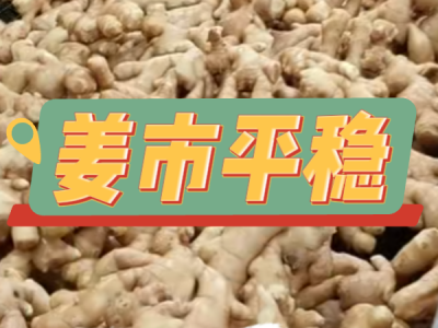 4月7日 生姜价格行情（姜市平稳） ()