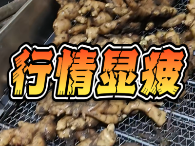 4月8日 生姜价格行情（行情显疲） ()