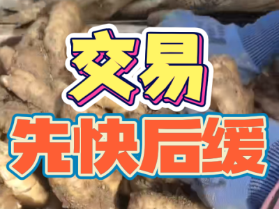 4月8日 安丘黑埠子（交易先快后缓） ()