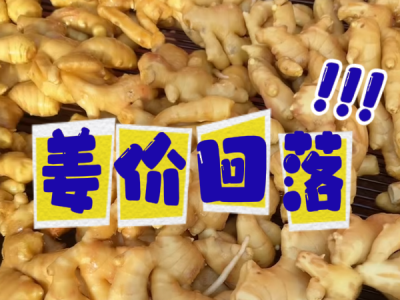 4月9日 生姜价格行情（姜价回落） ()