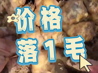 4月9日 安丘黑埠子（价格落1毛） ()