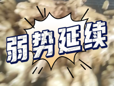 4月10日 生姜价格行情（弱势延续） ()