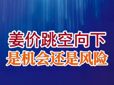 老石说姜：姜价跳空向下 是机会还是风险？ ()