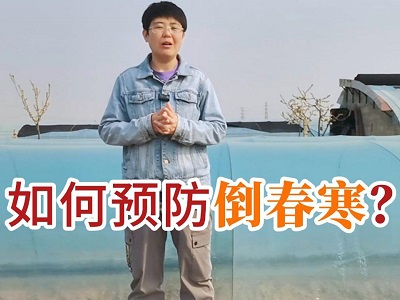 如何预防倒春寒？ ()