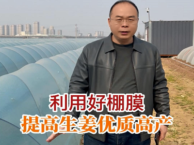 利用好棚膜 提高生姜优质高产 ()