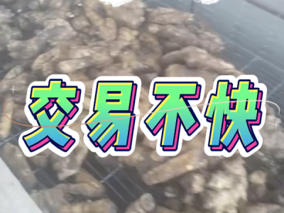 4月14日 生姜价格行情（交易不快） ()