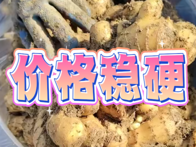 4月15日 安丘黑埠子（价格稳硬） ()