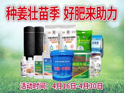种姜壮苗季 好肥来助力 ()