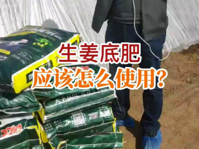 生姜底肥应该怎么使用？ ()