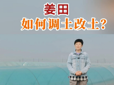 姜田如何调土改土？ ()