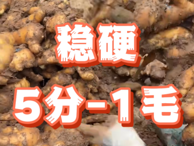 4月17日 安丘黑埠子（稳硬5分-1毛） ()