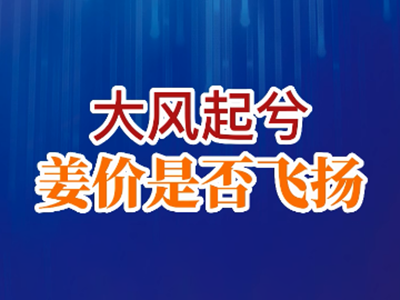 老石说姜：大风起兮 姜价是否飞扬？ ()