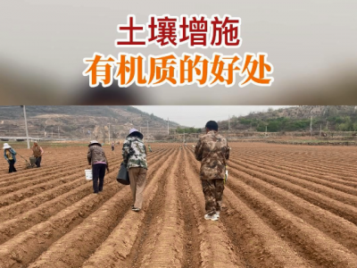土壤增施有机质的好处 ()