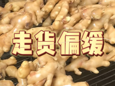 4月19日 生姜价格行情（走货偏缓） ()