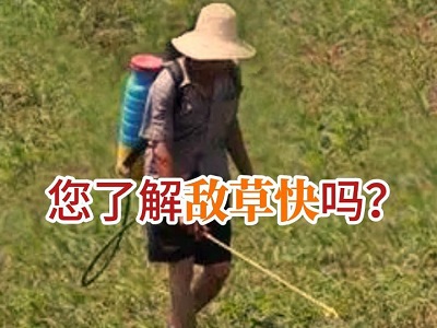 你了解敌草快吗？ ()