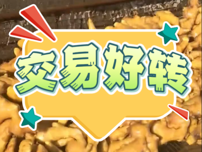 4月22日 生姜价格行情（交易好转） ()