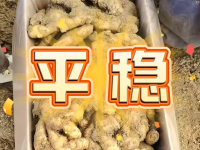 4月22日 安丘黑埠子（平稳） ()