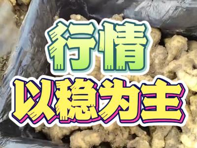 4月24日 安丘黑埠子（行情以稳为主） ()