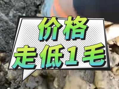 4月25日 安丘黑埠子（价格落1毛） ()