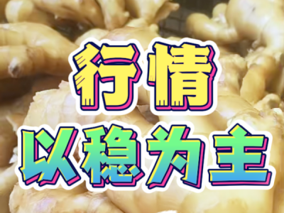 4月28日 生姜价格行情（行情以稳为主） ()