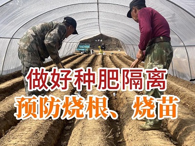 做好种肥隔离预防烧根烧苗 ()