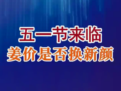 老石说姜：五一节来临 姜价是否换新颜？ ()