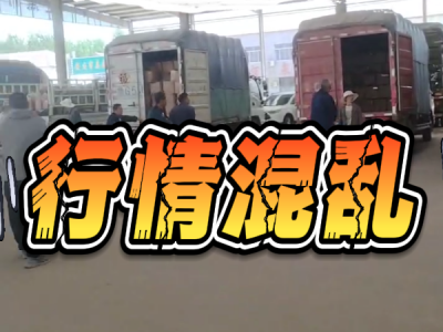 4月30日 安丘黑埠子（行情混乱） ()