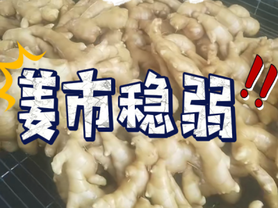 5月2日 生姜价格行情（姜市稳弱） ()