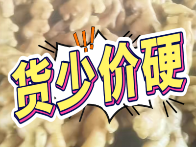 5月3日 生姜价格行情（货少价硬） ()