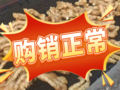 5月5日 生姜价格行情（购销正常） ()