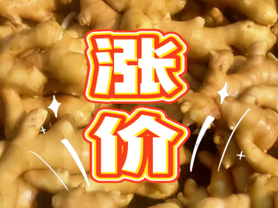 5月6日 生姜价格行情（涨价） ()