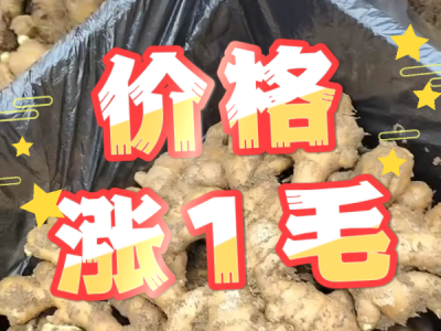 5月8日 安丘黑埠子（价格涨1毛） ()