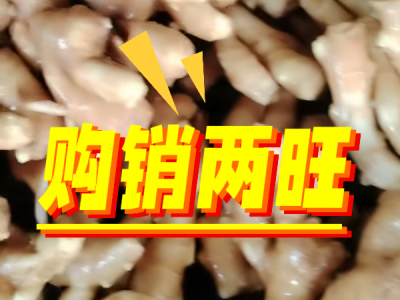 5月8日 生姜价格行情（购销两旺） ()