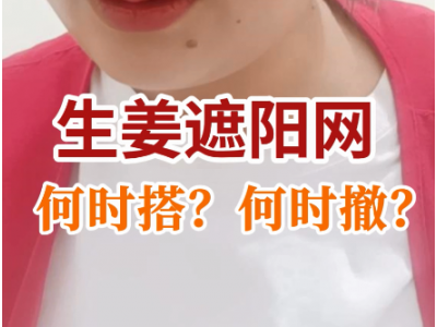 生姜遮阳网何时搭？何时撤？ ()