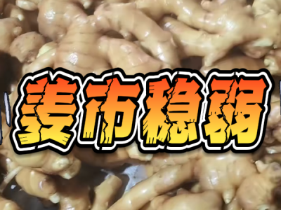 5月9日 生姜价格行情（姜市稳弱） ()