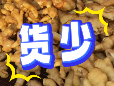5月10日 生姜价格行情（货少） ()