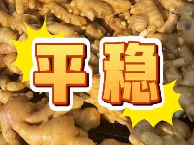 5月12日 生姜价格行情（平稳） ()