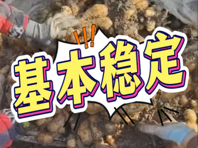 5月12日 安丘黑埠子（基本稳定） ()