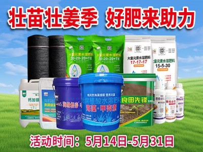 壮苗壮姜季 好肥来助力！ ()