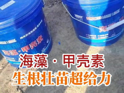 海藻·甲壳素 生根壮苗超给力！ ()