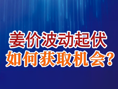 老石说姜：姜价波动起伏，如何获取机会？ ()