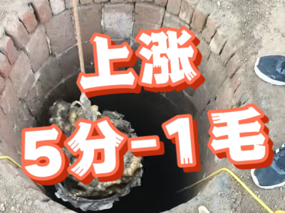 5月14日 安丘黑埠子（上涨5分-1毛） ()