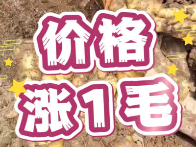 5月15日 安丘黑埠子（价格涨1毛） ()