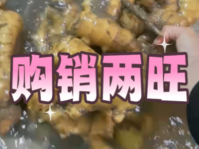 5月15日 生姜价格行情（购销两旺） ()