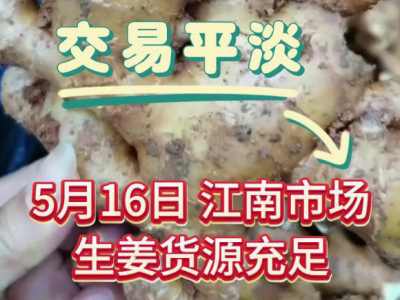 5月16日广州江南批发市场价格行情 ()