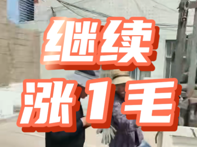 5月16日 安丘黑埠子（价格涨1毛） ()